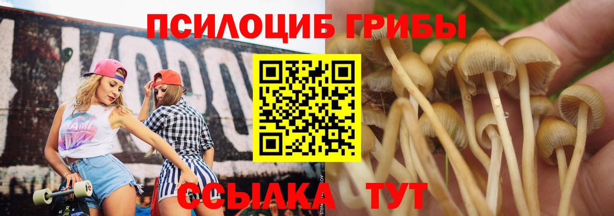 Псилоцибиновые грибы MAGIC MUSHROOMS Белорецк